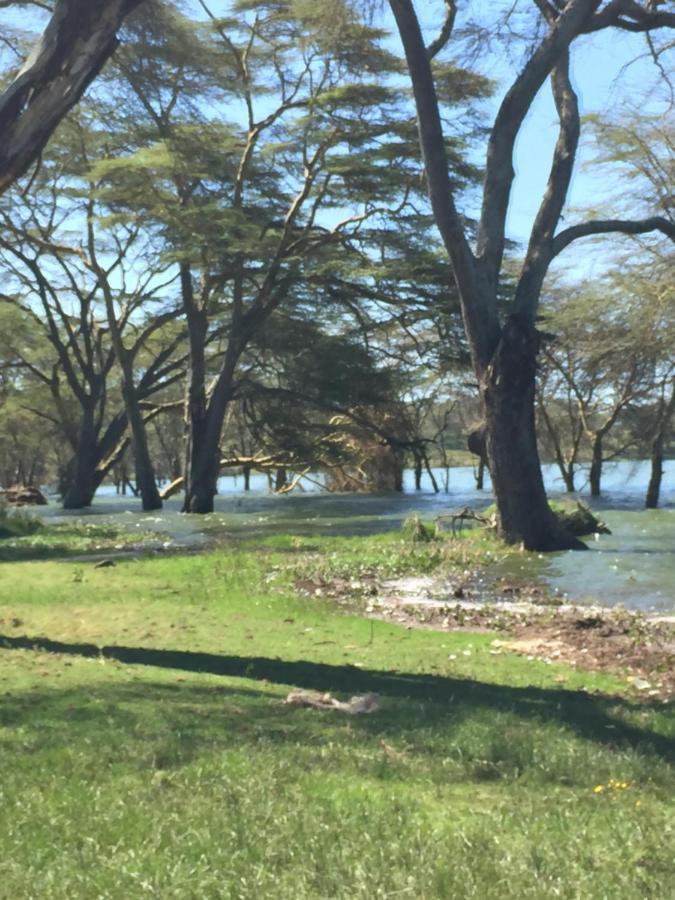 Enjoy The Silence, Naivasha By Yourhost Εξωτερικό φωτογραφία